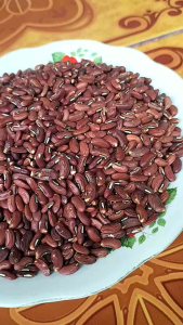 300 BENIH BIJI KACANG PANJANG SAYUR PILIHAN