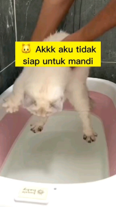 SIKAT MANDI ANJING & KUCING BAHAN SILIKON