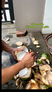 Dao lấy cơm dừa dao nạo cơm dừa dao lấy lõi dừa