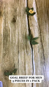 Orginal Goal Brief for Men Assorted Color