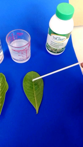 เดอะดีป สารเปิดปากใบพืช