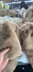 Áo khoác lông cao cấp cho bé gái 1-6 tuổi