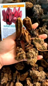 Nấm ngọc cẩu khô 500g vụ mới