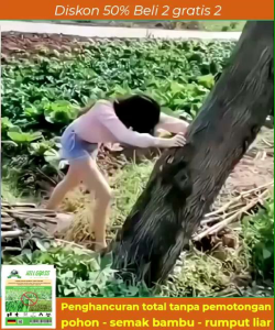Kill grass herbisida bubuk pembasmi gulma dan bambu bisa juga untuk pohon beli 1 gratis 1