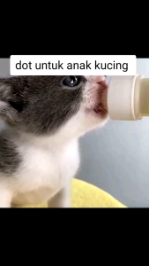 BOTOL SUSU KITTEN - BOTOL SUSU ANAK KUCING 60ML