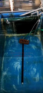 36/3 Uni Hose Air Diffuser 316 grade Stainless Steel Rod specially for Koi Fish Pond