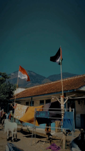 BENDERA PALESTINA DAN INDONESIA