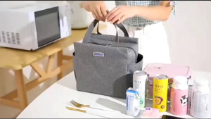 Portable Large Insulated Lunch Bag | Waterproof Canvas with Double Pocket & Foil Interior