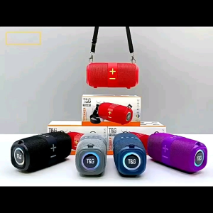 T&G TG-667 Wireless Bluetooth Speaker High Quality TF SD Card USB AUX