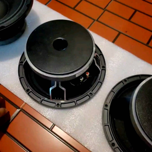 Bass 25 coil 65 từ 170 sườn nhôm đúc màng pha sợi thủy tinh nhập khẩu