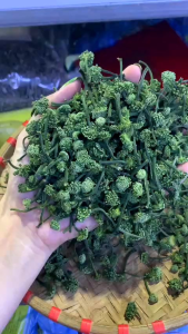 200g nụ hoa tam thất nhí xanh thơm lừng