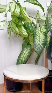 JIMS HONEY - RYNE BAG - TOTE BAG WANITA - HAND BAG (FREE POUCH)