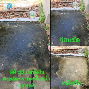 ผงขจัดเส้นตะไคร่น้ำต่ำทุกรูป ( ซื้อ 1 แถม 1) ขนาด 300 กรัม ดีดี สูตรใหม่เข้มข้นกว่าเดิม ผงกำจัดผง ผงขัดพื้น