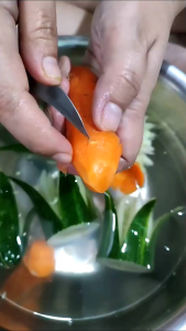 Pisau Garnish premium isi 7