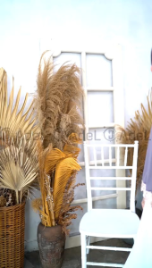 Bergo Pet Jumbo Renda Malika Adel