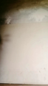 GOLOK ukiran MACAN TEBANG BAMBU ASLI BANTEN