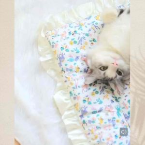 [READY STOCK] Pet Soft Mat Bed Cat Bed Dog Bed Pet cushion Sleeping Bed | Katil Tilam Kuching | 宠物床宠物窝 猫狗睡床 宠物垫