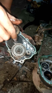 Gigi Rasio Gardan Mio Sporty & Soul Karbu PNP Fino