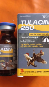 Thuốc TULACIN 250 cho gà hộp 10ml điều trị hô hấp và viêm màng phổi.