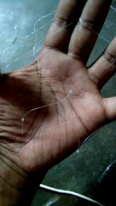 Jaring Ayam Serbaguna 040mm 2m x 50m: Pagar & Tanaman