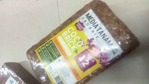 cico brick-1brick jadi 12poly back media tanam