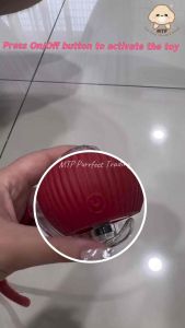 Pet Toy Interactive Toy Auto Run Mainan Haiwan Elektrik Kucing Pintar Bola Bergerak Automatik 宠物智能追追球