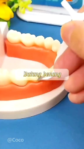 ALWB25 Set Dental Floss 1 Set Isi +-20 Pcs Benang Gigi