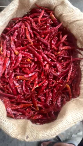 CABE RAWIT KERING TEJA INDIA MERAH PEDAS HOT SAMARA SAMARASA