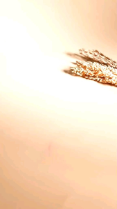 WHITENING MOISTURIZING CREAM SR12 PEMUTIH INSTAN KULIT WAJAH DAN TUBUH