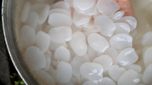 kolang Kaling segar bahan manisan buah aren kolang Kaling 1kg