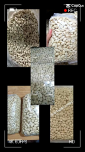 1KG Packing Kacang Kupas Bersih Jumbo Kwalitas Super