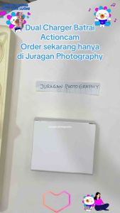 Dual Charger Desktop Action Cam (Eken / Sbox / Kogan / Bpro / SjCam)