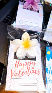 Hair Clip for Valentines Giveaways (Random Designs)