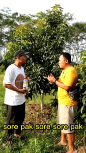 PUPUK AGRO LESTARI BIRU 1 Liter pupuk perangsang penyubur dan pelebat tanaman buah