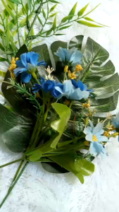 Celana Pendek Chino Anak Laki Laki Perempuan Premium Katun