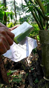 pisau dapur pemotong bambu kayu atau cacah daging tulang sapi ayam