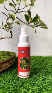 PUPUK ORGANIK | PELEBAT BUAH CABAI | PERANGSANG BUNGA DAN PELEBAT BUAH 1 Liter | 1L Free 250ML |1L Free 500ML