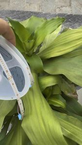 Quân led 10 mét led thùng chịu nước 12v 24v 7 màu led ô tô trang trí xe