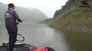 สายพีอี มัลติคัลเลอร์ ถัก 8 PE Muiticolor เต็มคำ ลัวร์