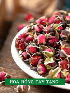 nụ hồng tây tạng baby  -- (M19)