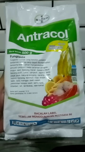 Antracol Fungisida 500 Gram original 100% [bayer]