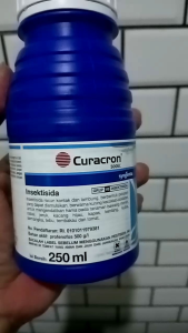 Curacron 500EC 250 ML Curacon insektisida 100% original [syngenta] basmi hama Tanaman cabai cabe  padi dll.