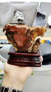 Natural Madagascar High Gred Petrified Wood/Tree Jade Slice Ornament MPT16
