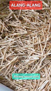 Akar Alang Alang 1000gram 1kilogram 1 Kg 白茅根 Bai Mao Gen Ramuan Obat Pereda Panas Dalam Manjur Bahan Liangteh