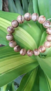VÒNG TRẦM MARAUKE INDO 12LI