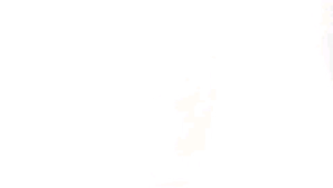 First Time Learning Counting 1 to 20 for Ages 3+ Preschool