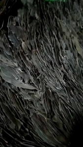 Discovering DAHON NG LAUREL Whole: Original Product Specifications