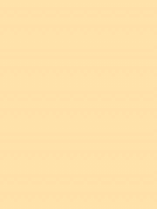 Insole Sepatu Anti Bakteri & Anti Bau RUANTAN 5D LEMBUT & TEBAL