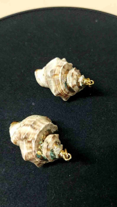 จี้เปลือกหอยแท้คู่จากจีน (EEE 11/1)