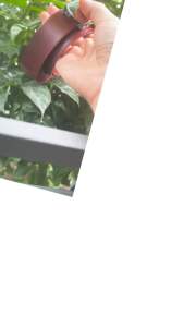 (Xanh+ đỏ) Combo 2 dây lưng nam thắt lưng dù xanhdây linh đò